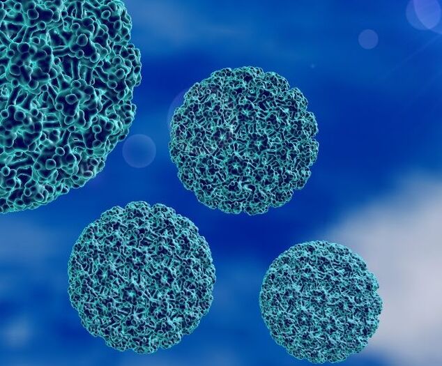 HPV-ի 3D մոդելը, որն առաջացնում է կրունկների գորտնուկներ